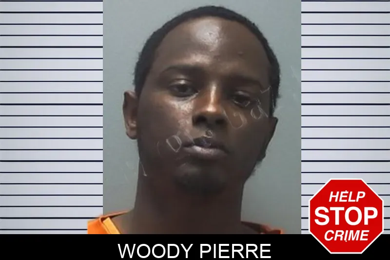 Woody Pierre mugshot