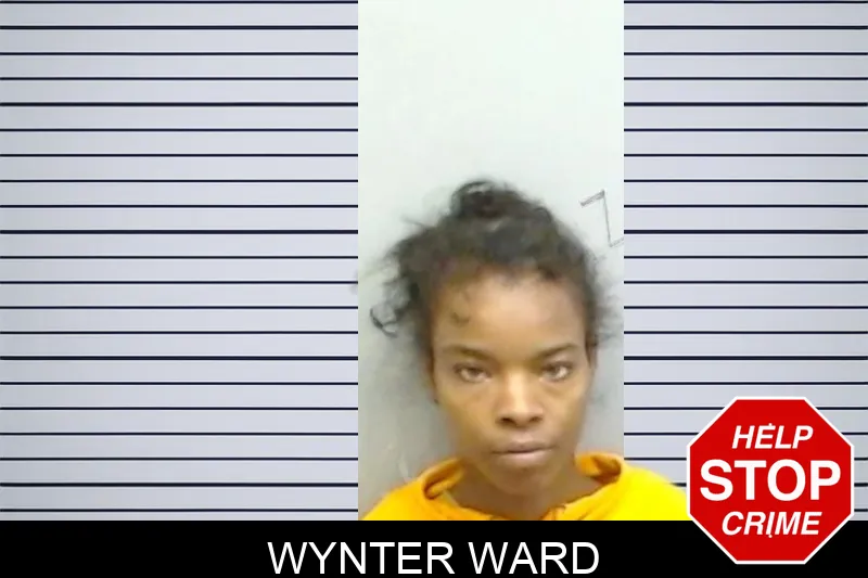Wynter Ward mugshot