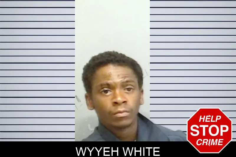 Wyyeh White Mugshots
