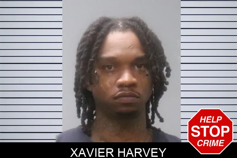 Xavier Harvey