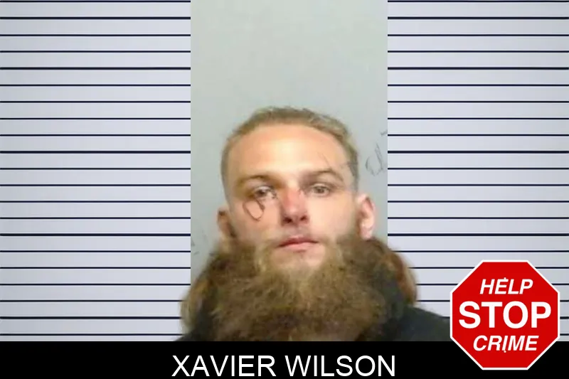 Xavier Wilson Mugshots