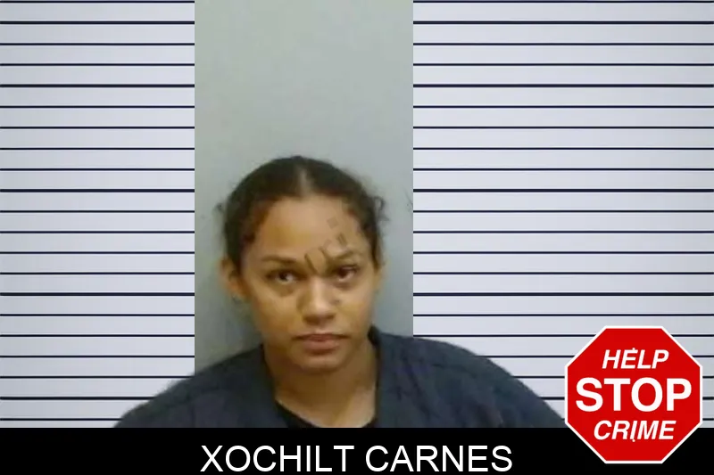 Xochilt Carnes Mugshots