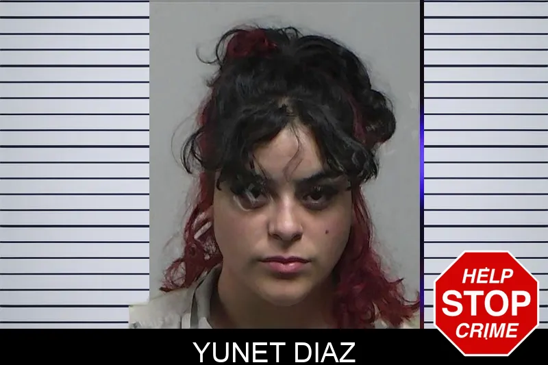 Yunet Diaz Mugshots