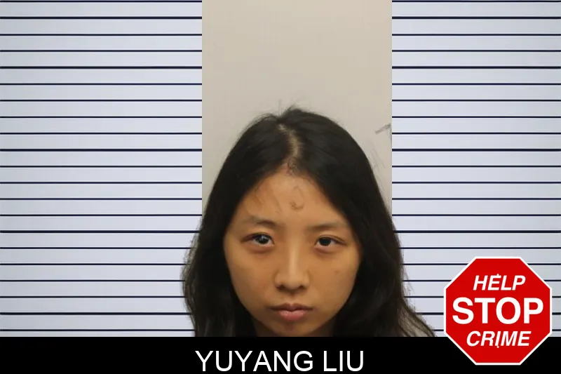 Yuyang Liu mugshot – Chatham County , Georgia Yuyang Liu mugshot