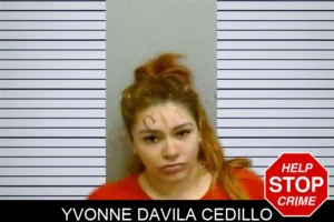 Yvonne Davila Cedillo mugshot