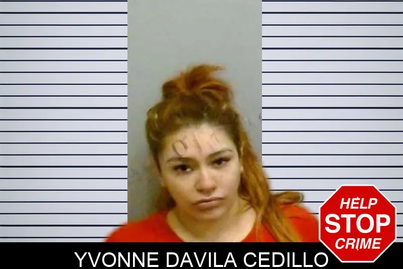 Yvonne Davila Cedillo Mugshots