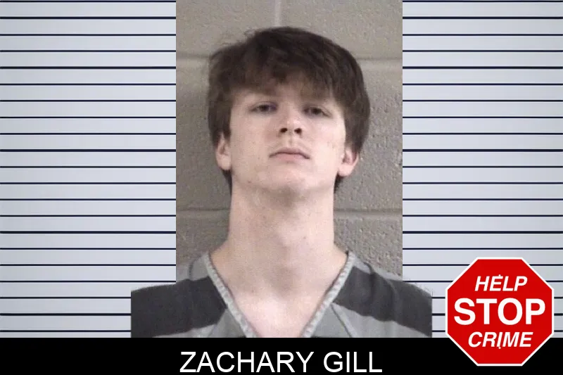 Zachary Gill mugshot