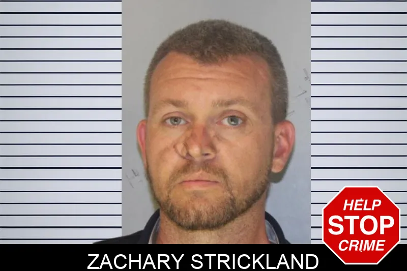 Zachary Strickland mugshot – Hall County , Georgia Zachary Strickland mugshot