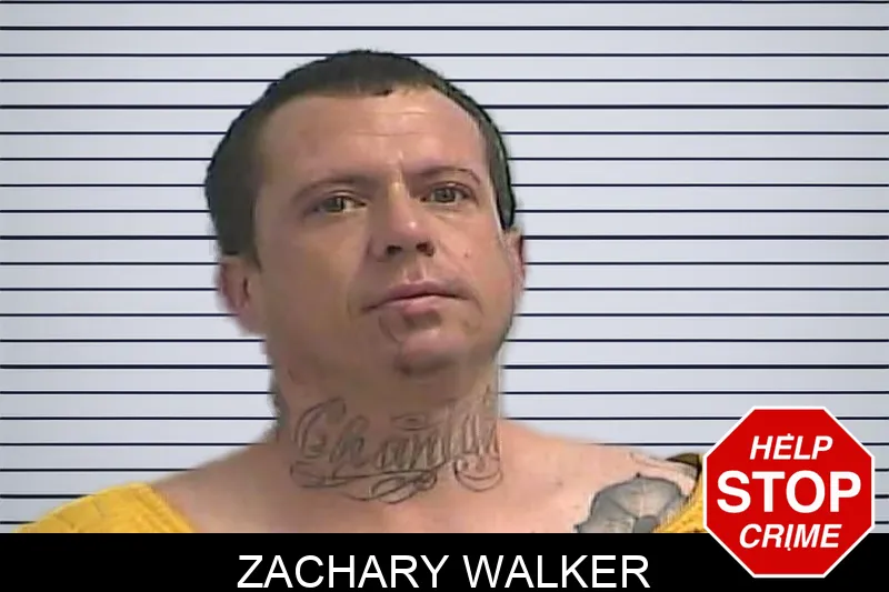 Zachary Walker Mugshots