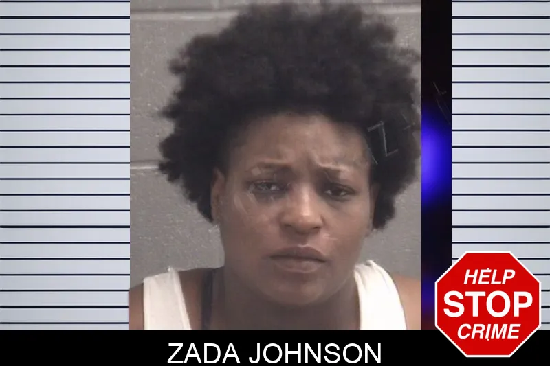 Zada Johnson Mugshots