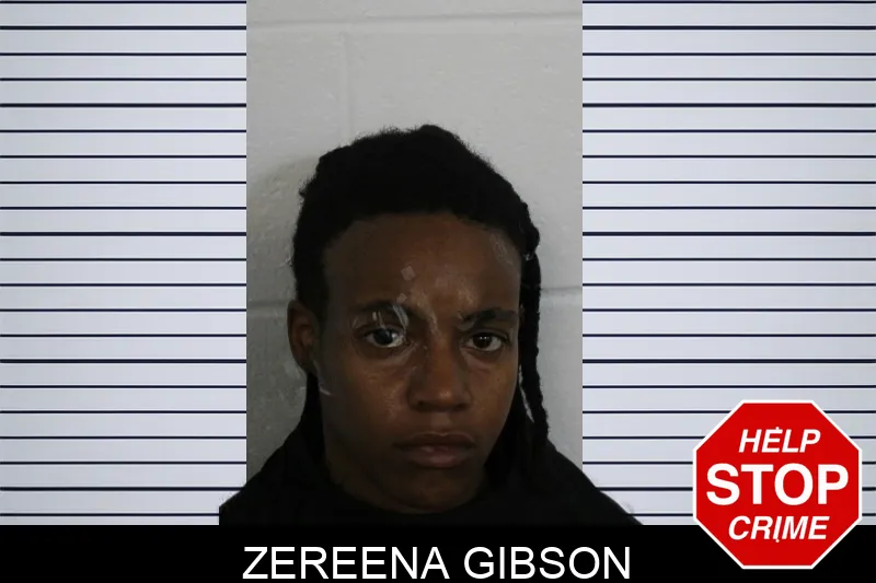 Zereena Gibson Mugshots