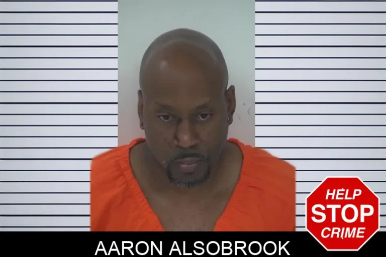 Aaron Alsobrook mugshot – Fayette County , Georgia Aaron Alsobrook