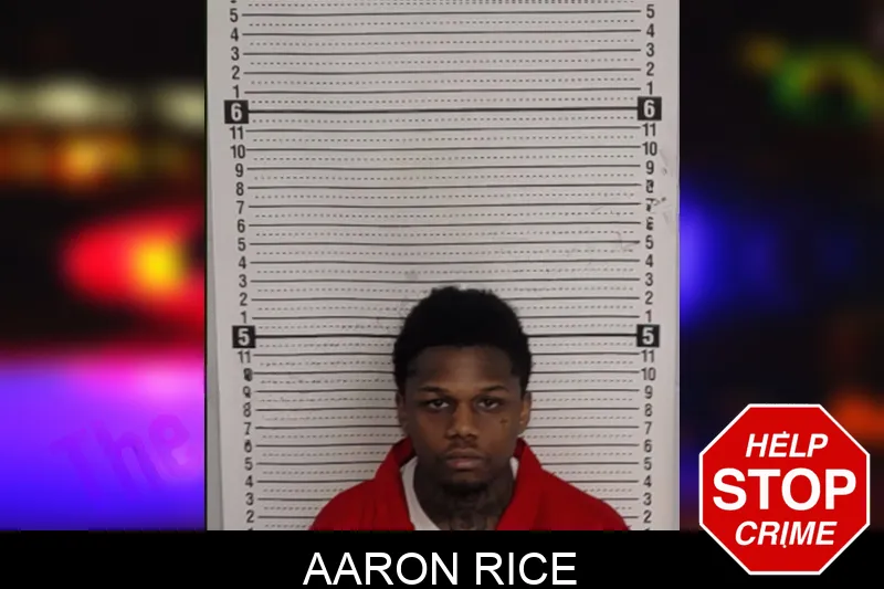 Aaron Rice Mugshots