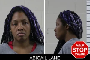 Abigail Lane mugshot