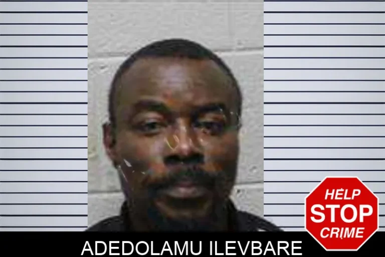 Adedolamu Ilevbare
