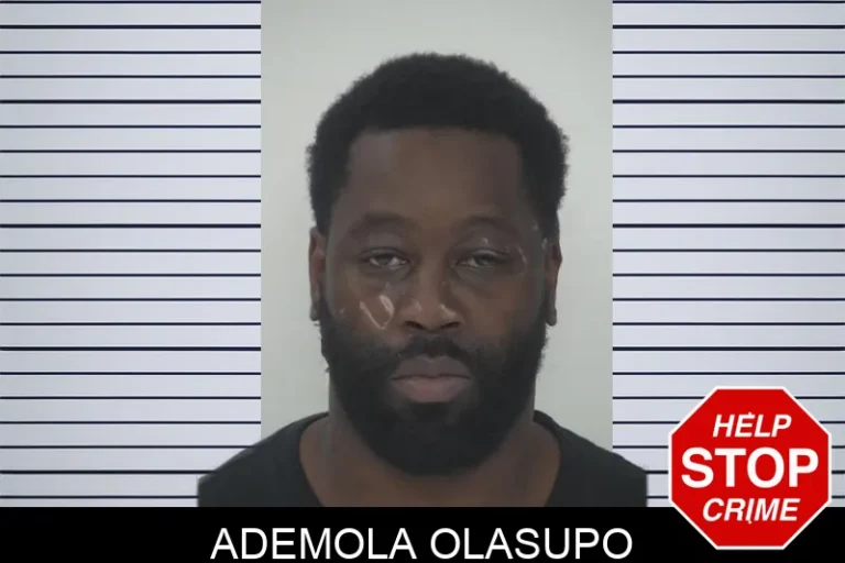 Ademola Olasupo mugshot – Fayette County , Georgia Ademola Olasupo