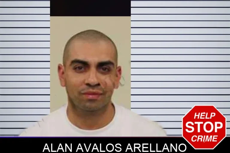 Alan Avalos Arellano