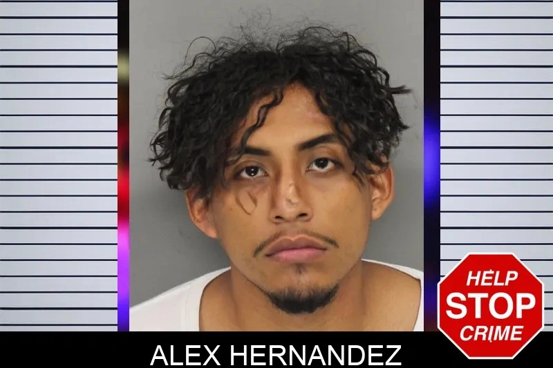 Alex Hernandez Mugshots