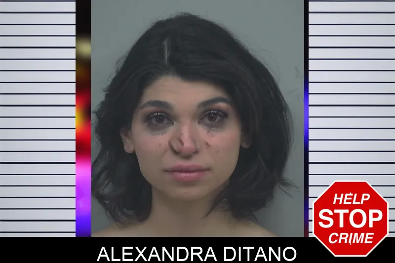 Alexandra Ditano Mugshots