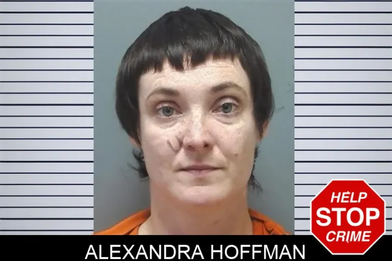 Alexandra Hoffman mugshot – Cherokee County , Georgia Alexandra Hoffman