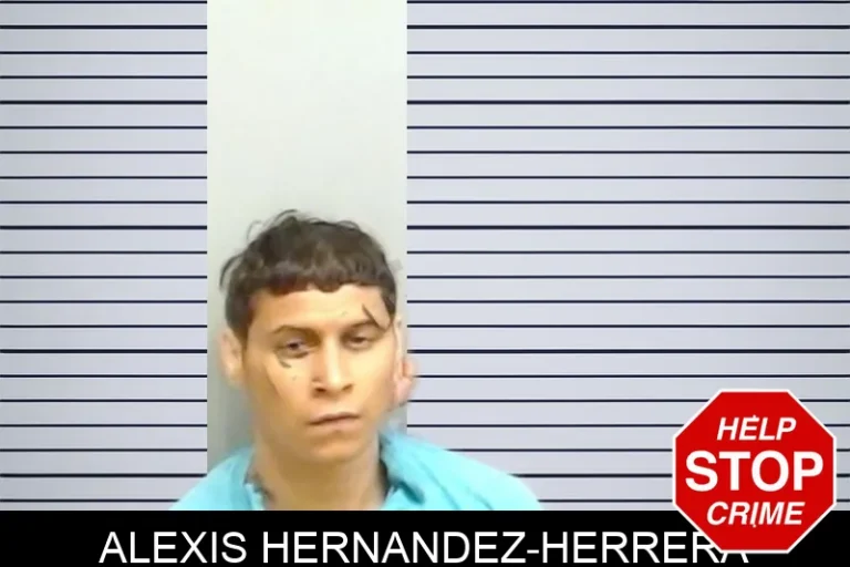Alexis Hernandez-Herrera