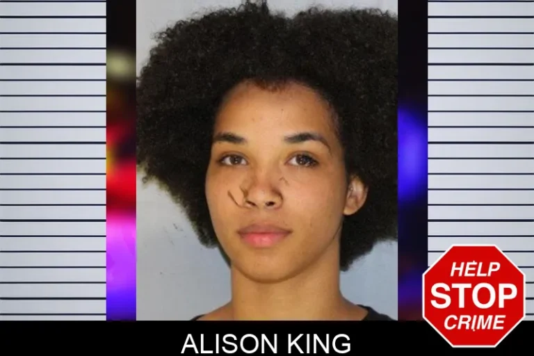 Alison King mugshot – Hall County , Georgia Alison King