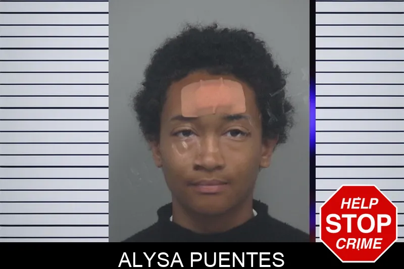 Alysa Puentes Mugshots