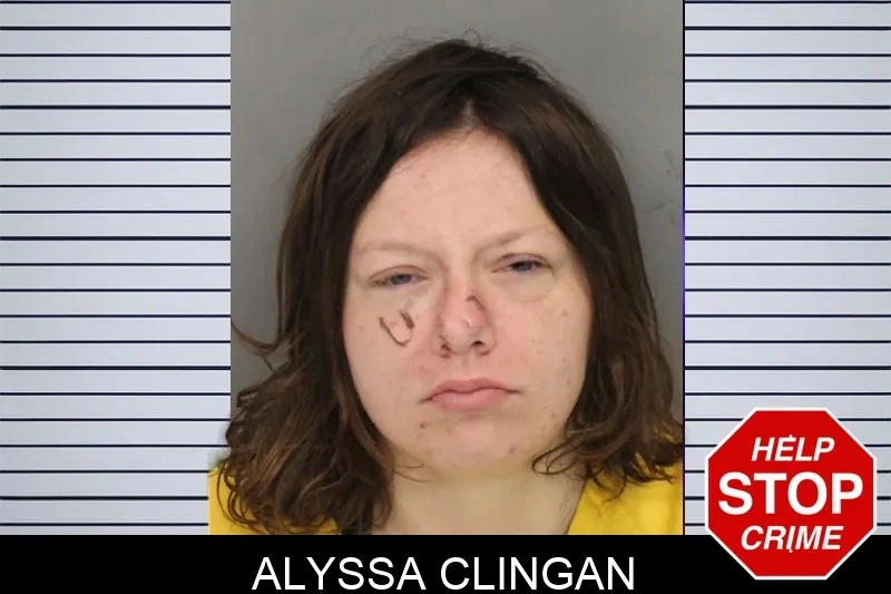 Alyssa Clingan Mugshots