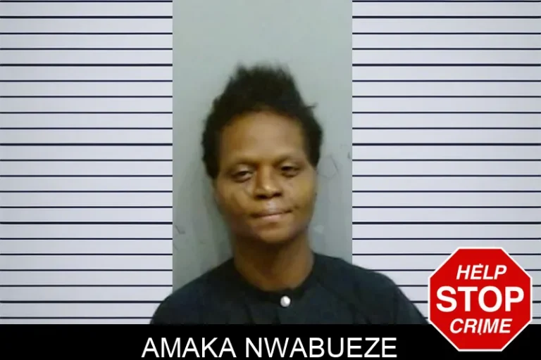 Amaka Nwabueze mugshot – Fulton County , Georgia Amaka Nwabueze