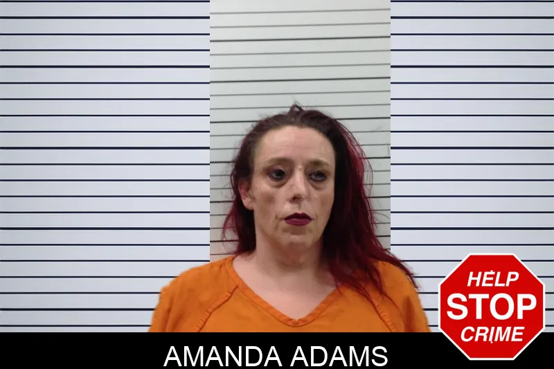 Amanda Adams Mugshots