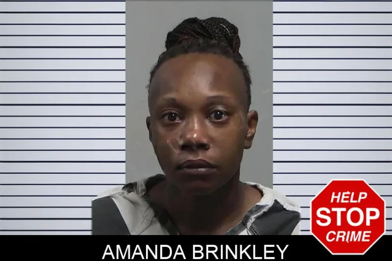 Amanda Brinkley