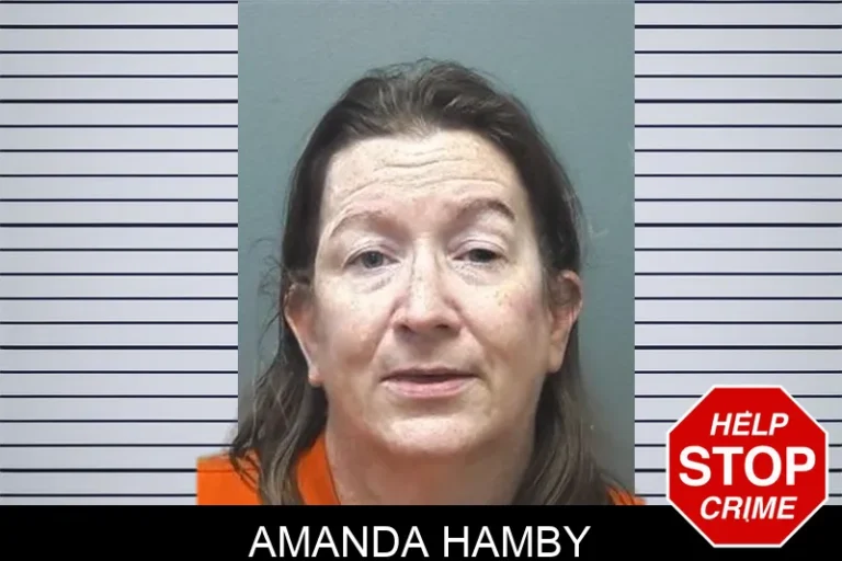 Amanda Hamby mugshot – Cherokee County , Georgia Amanda Hamby