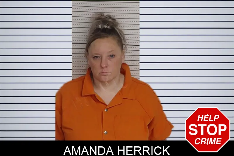 Amanda Herrick mugshot