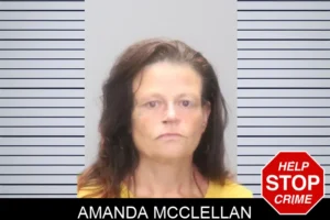 Amanda McClellan mugshot