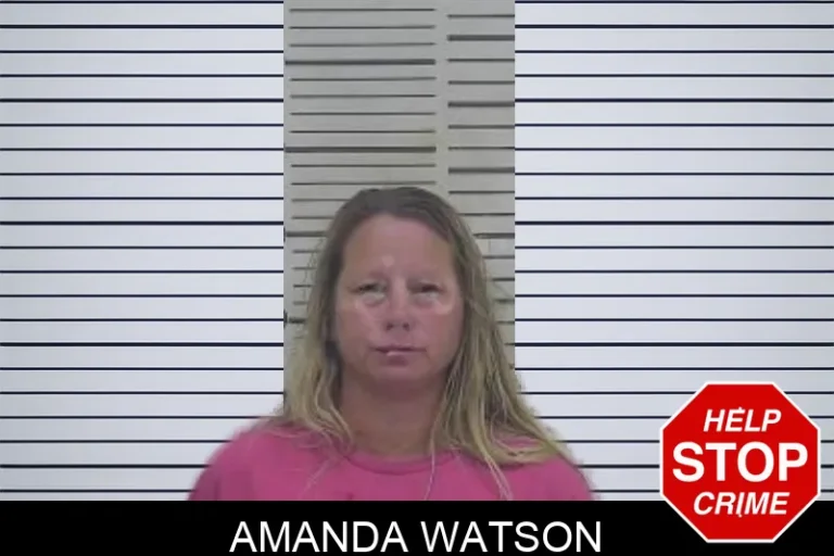 Amanda Watson mugshot – Coffee County , Georgia Amanda Watson