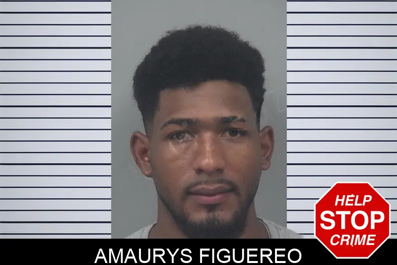 Amaurys Figuereo mugshot