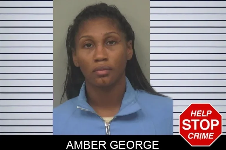 Amber George mugshot – Gwinnett County , Georgia Amber George
