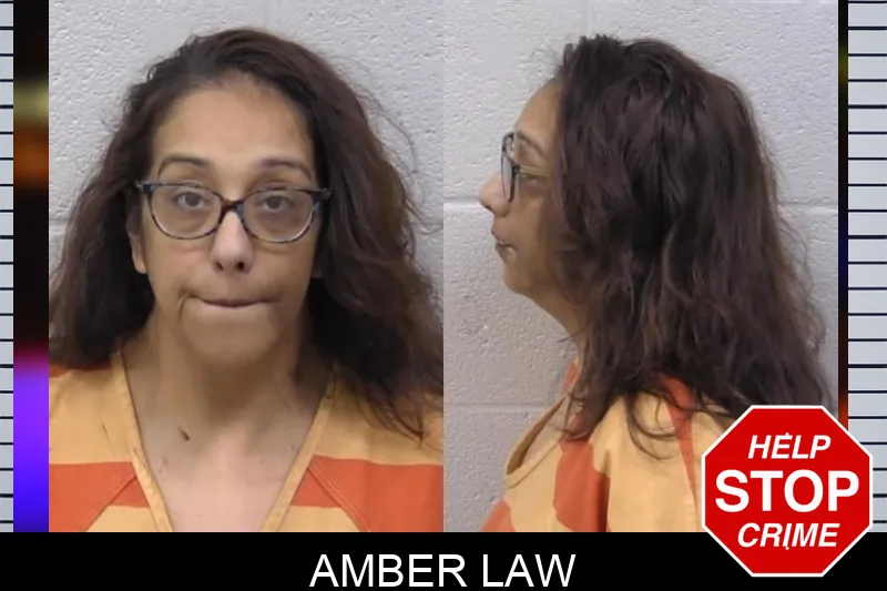 Amber Law mugshot