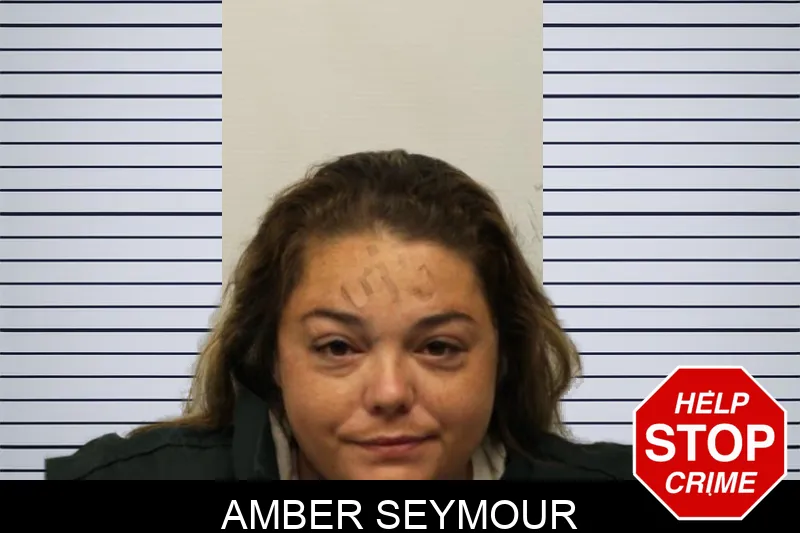 Amber Seymour mugshot – Chatham County , Georgia Amber Seymour mugshot