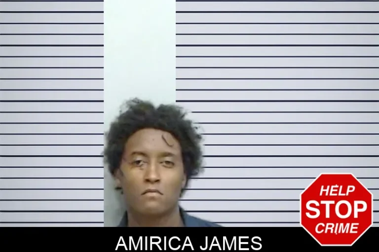 Amirica James