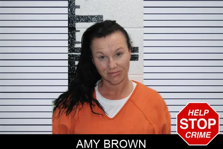 Amy Brown mugshot – Murray County , Georgia Amy Brown