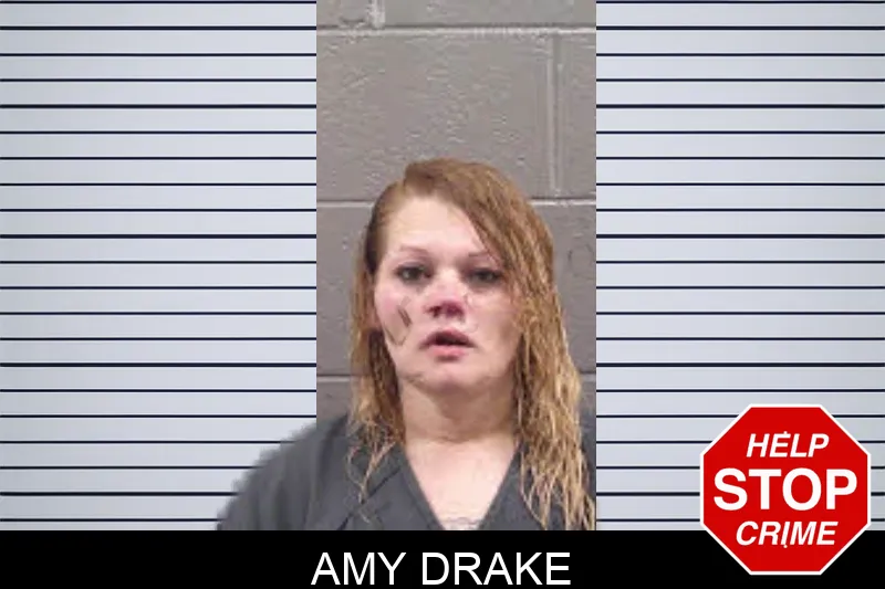 Amy Drake Mugshots