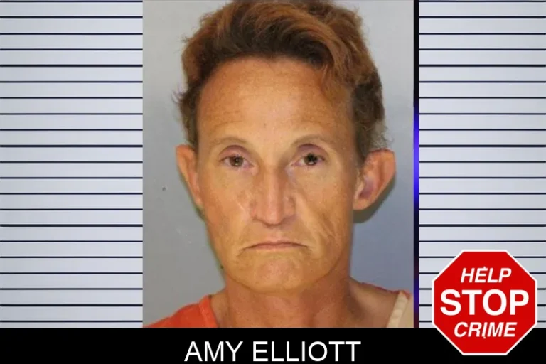 Amy Elliott mugshot – Hall County , Georgia Amy Elliott