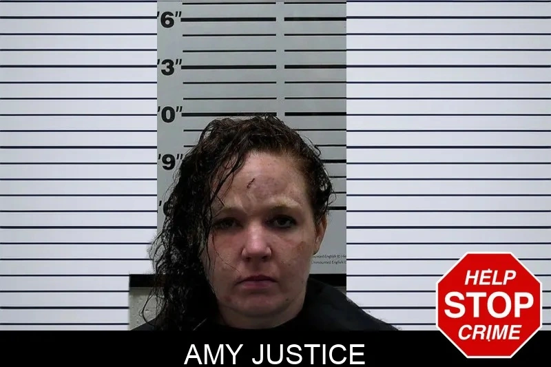 Amy Justice mugshot – Hart County , Georgia Amy Justice mugshot