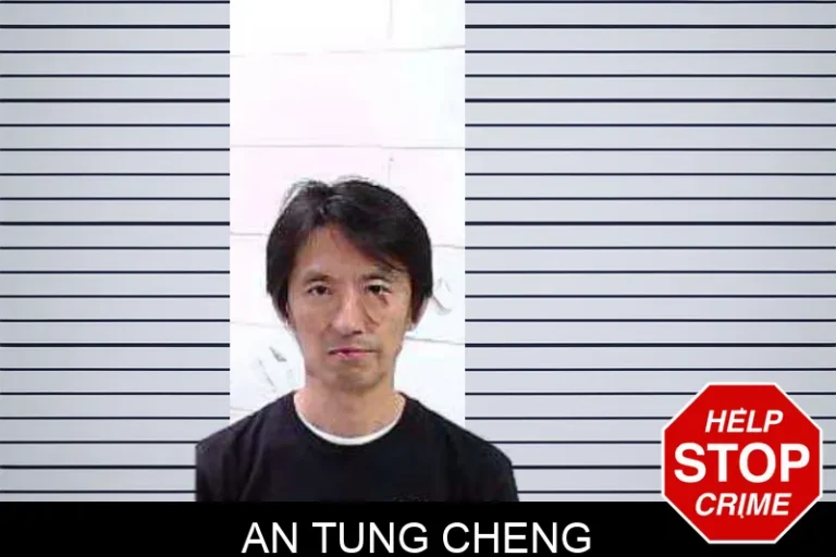 An Tung Cheng mugshot – Fulton County , Georgia An Tung Cheng