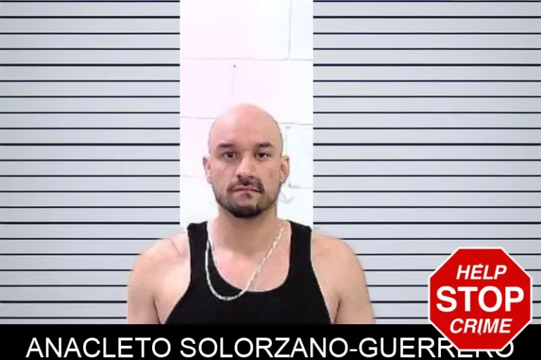 Anacleto Solorzano-Guerrero