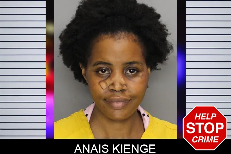 Anais Kienge Mugshots