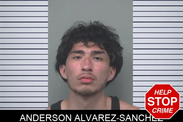Anderson Alvarez-Sanchez mugshot – Gwinnett County , Georgia Anderson Alvarez-Sanchez