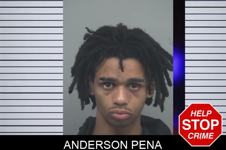 Anderson Pena mugshot – Gwinnett County , Georgia Anderson Pena