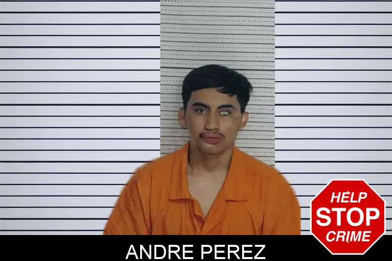 Andre Perez Mugshots